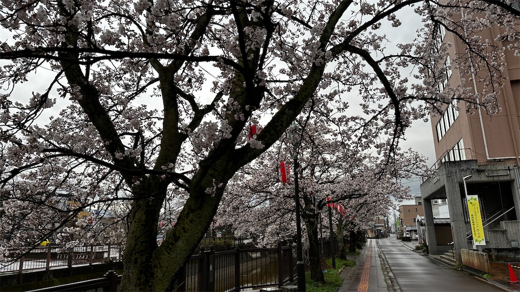 f:id:academij:20250412111945j:image