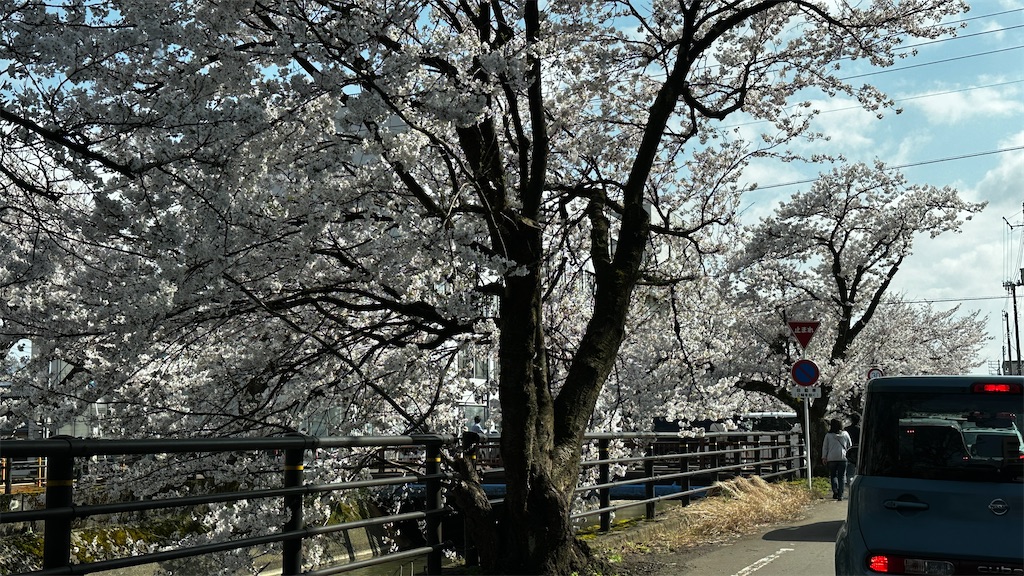 f:id:academij:20250413034823j:image