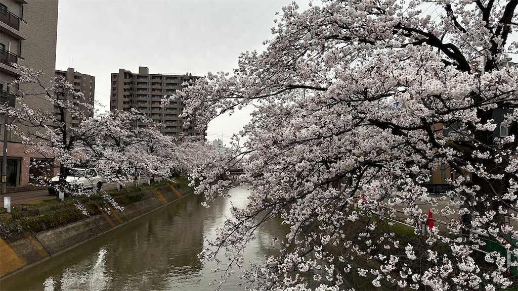 f:id:academij:20250414171851j:image