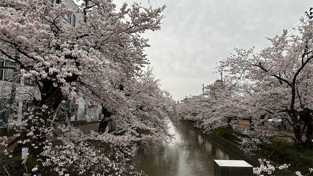 f:id:academij:20250414171917j:image