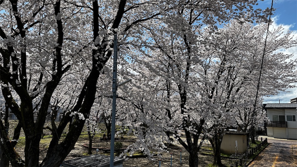 f:id:academij:20250415081541j:image