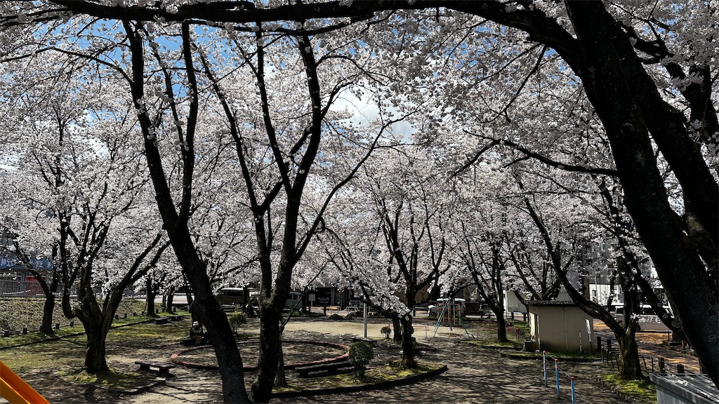 f:id:academij:20250415081544j:image