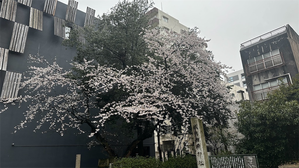 f:id:academij:20250415081554j:image