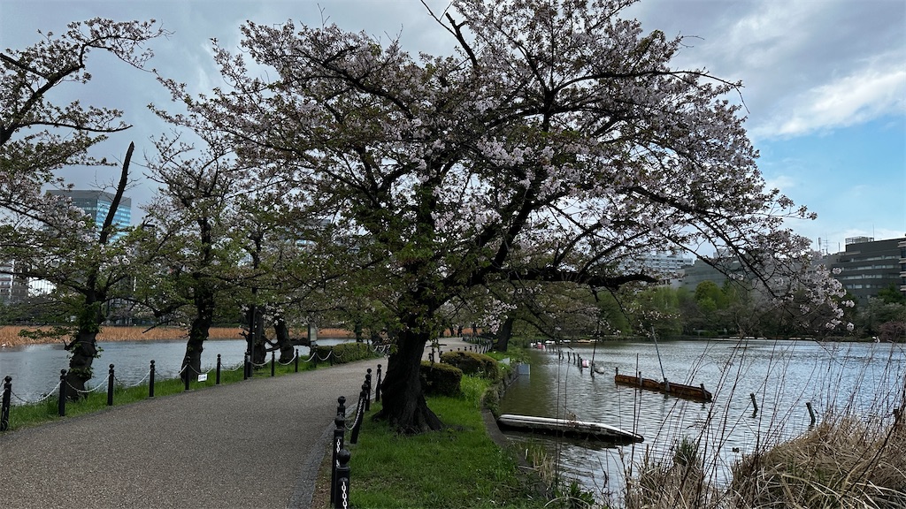 f:id:academij:20250416080034j:image