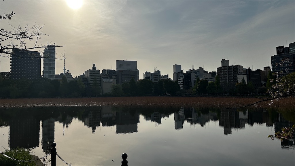 f:id:academij:20250418073312j:image