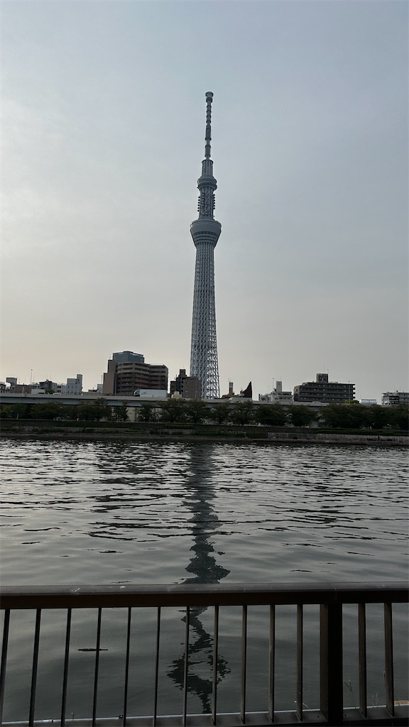 f:id:academij:20250419075914j:image