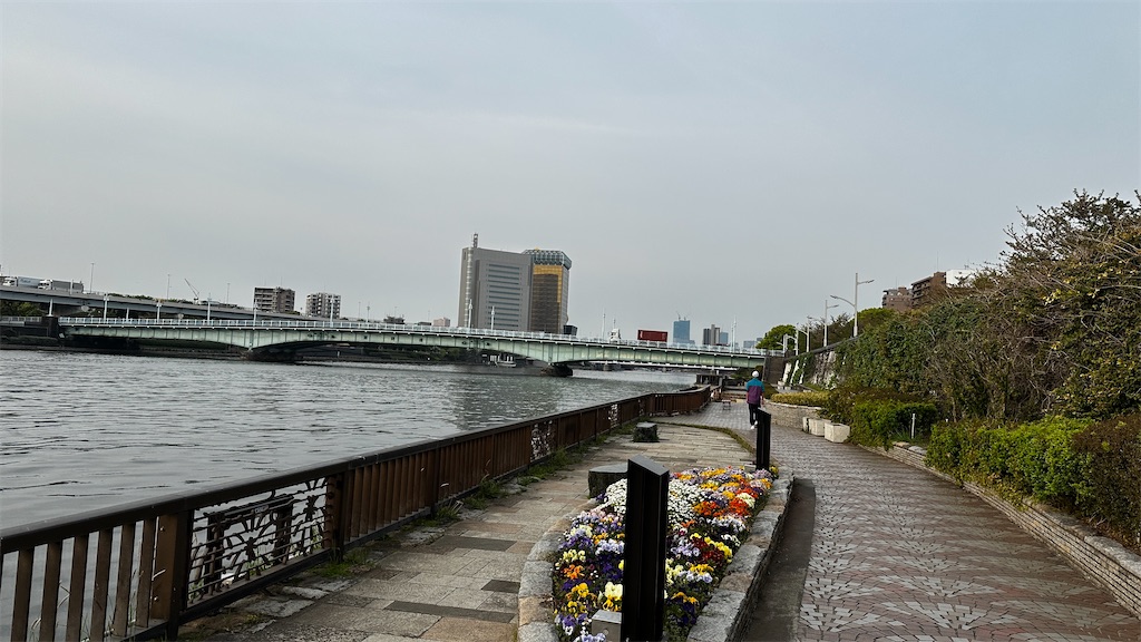 f:id:academij:20250419080024j:image
