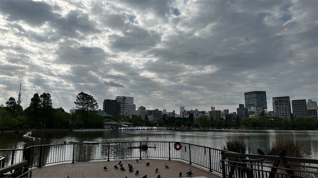 f:id:academij:20250427160704j:image