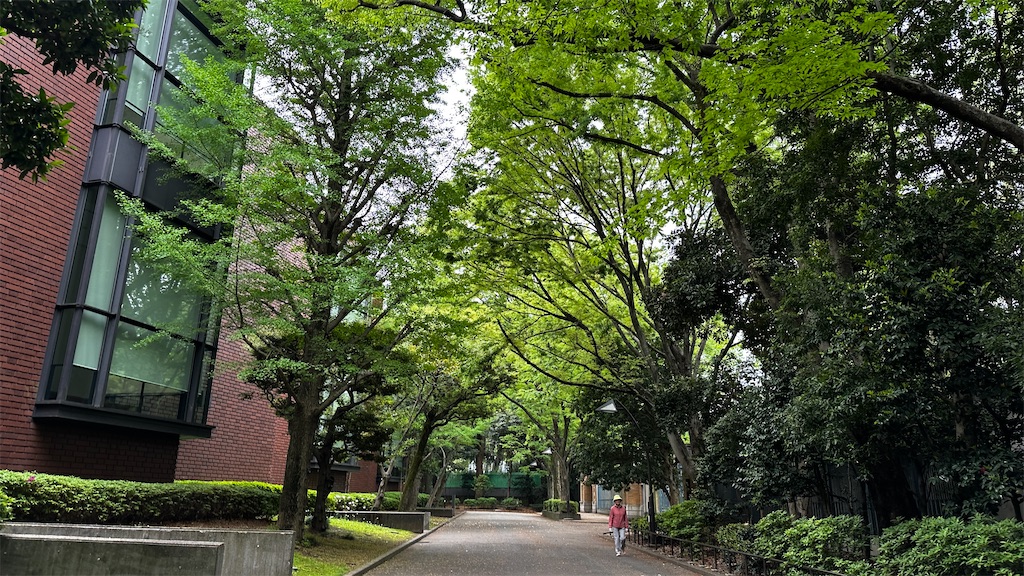 f:id:academij:20250427160711j:image