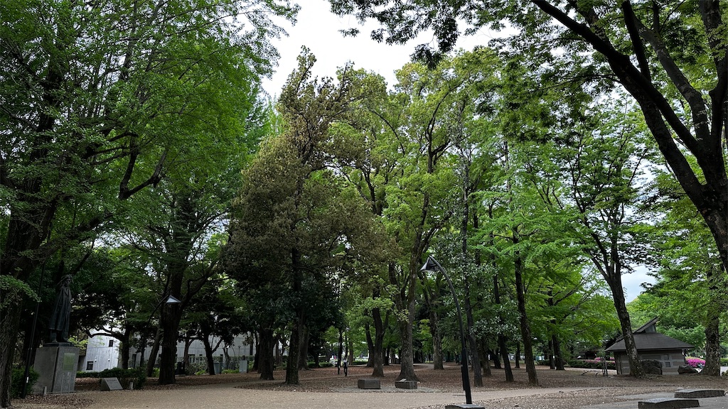 f:id:academij:20250427160716j:image