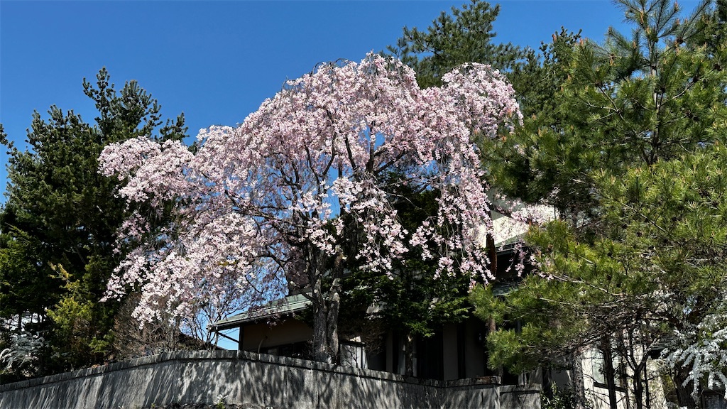 f:id:academij:20250502090503j:image