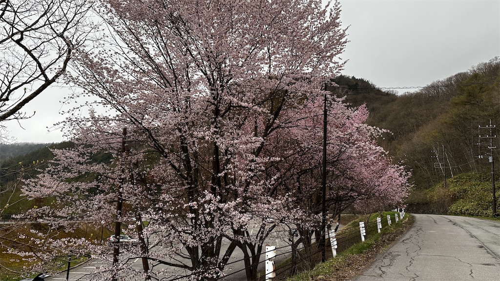 f:id:academij:20250503030527j:image