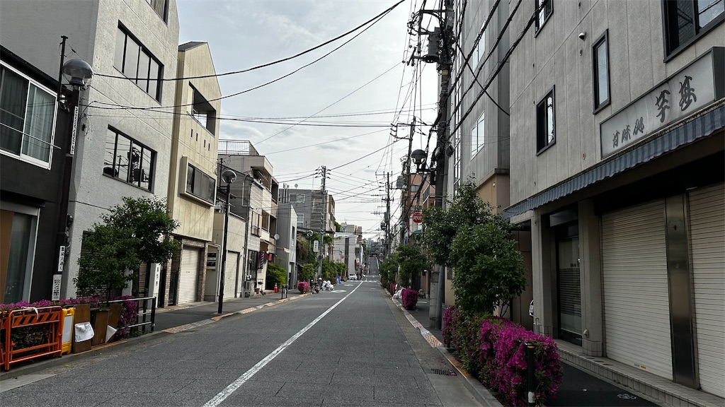 f:id:academij:20250506144810j:image