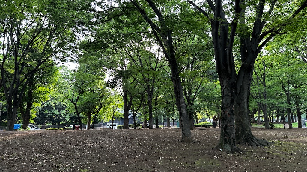 f:id:academij:20250515080702j:image