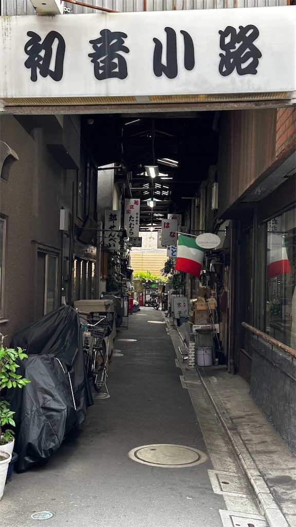 f:id:academij:20250615075120j:image