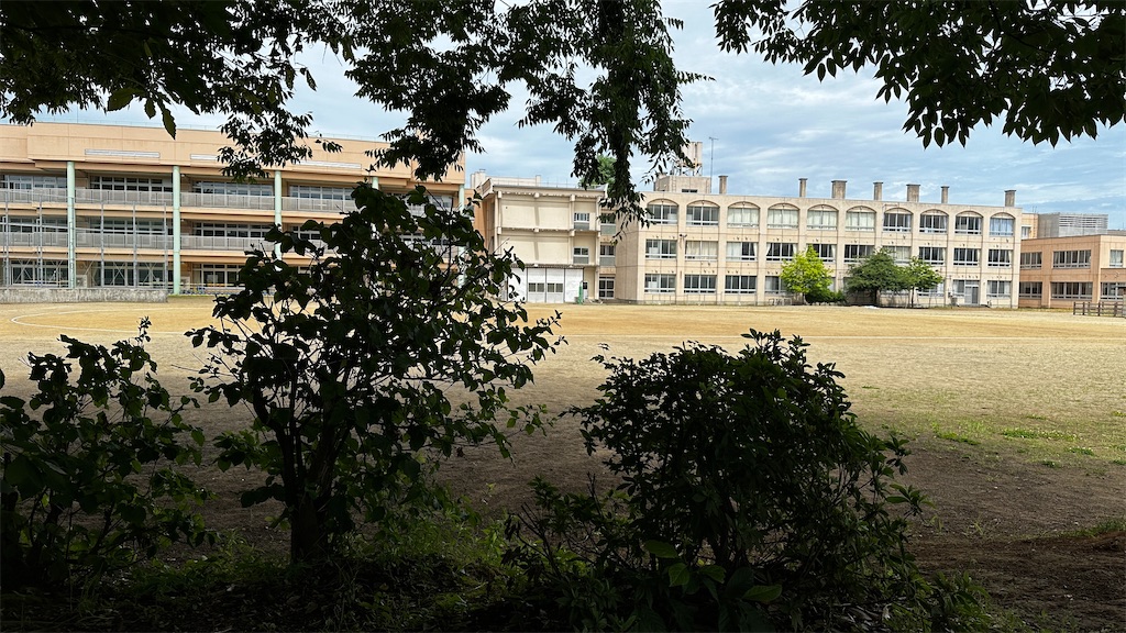 f:id:academij:20250626102349j:image