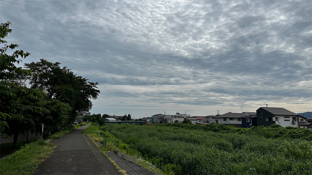 f:id:academij:20250626102406j:image