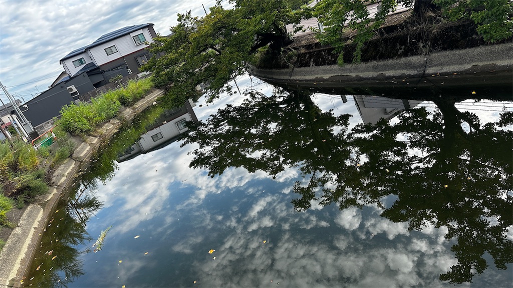 f:id:academij:20250908081108j:image