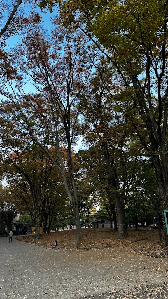 f:id:academij:20251109064048j:image