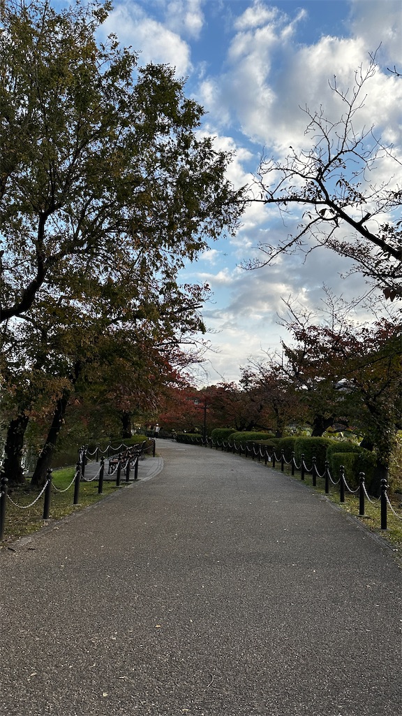 f:id:academij:20251109064055j:image