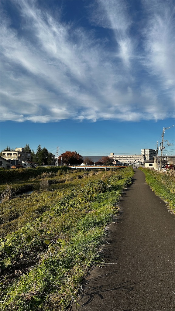 f:id:academij:20251117145242j:image