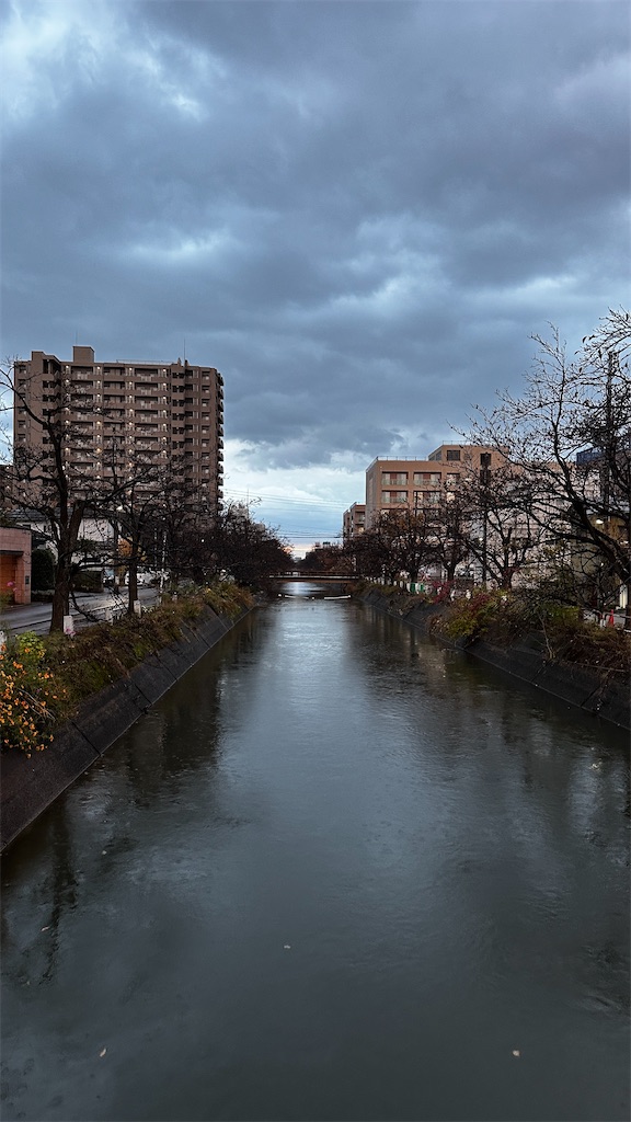 f:id:academij:20251123064314j:image