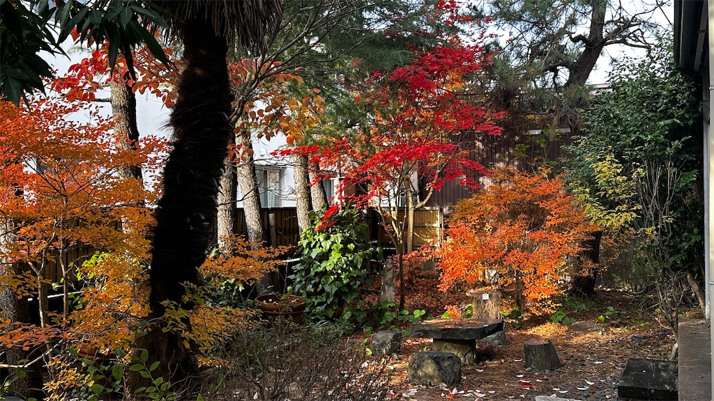 f:id:academij:20251125134012j:image