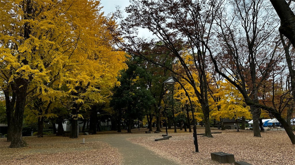 f:id:academij:20251126153807j:image