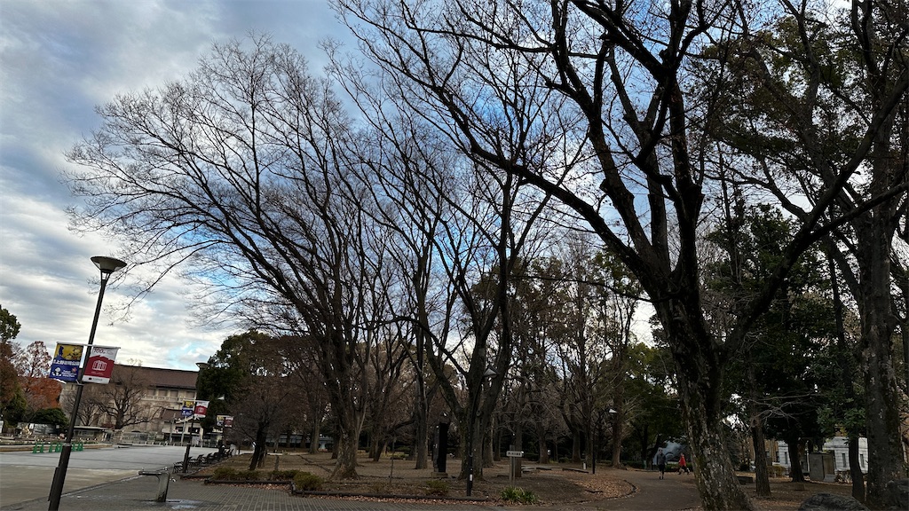 f:id:academij:20251223020805j:image