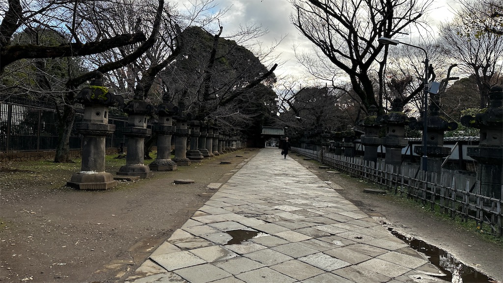 f:id:academij:20251223020822j:image