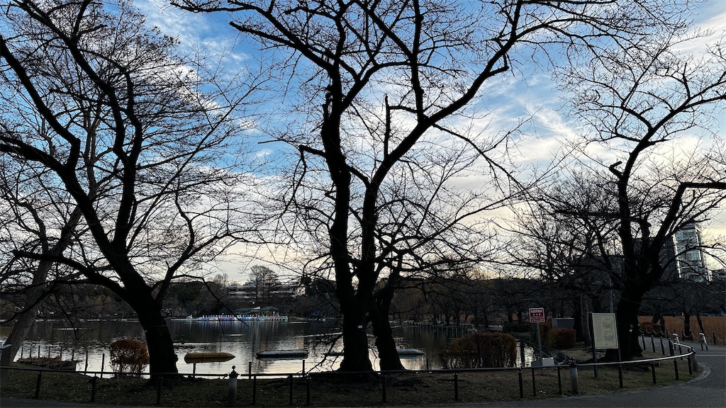 f:id:academij:20260111092520j:image