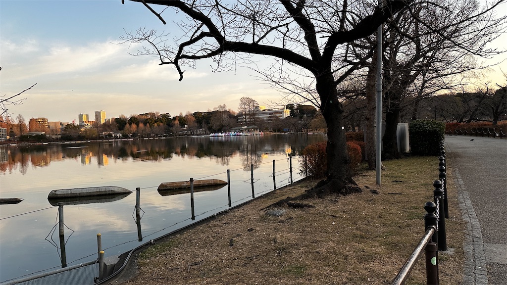 f:id:academij:20260116080012j:image