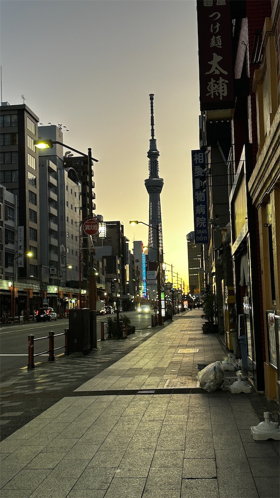 f:id:academij:20260123080909j:image