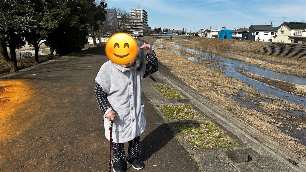 f:id:academij:20260321080527j:image