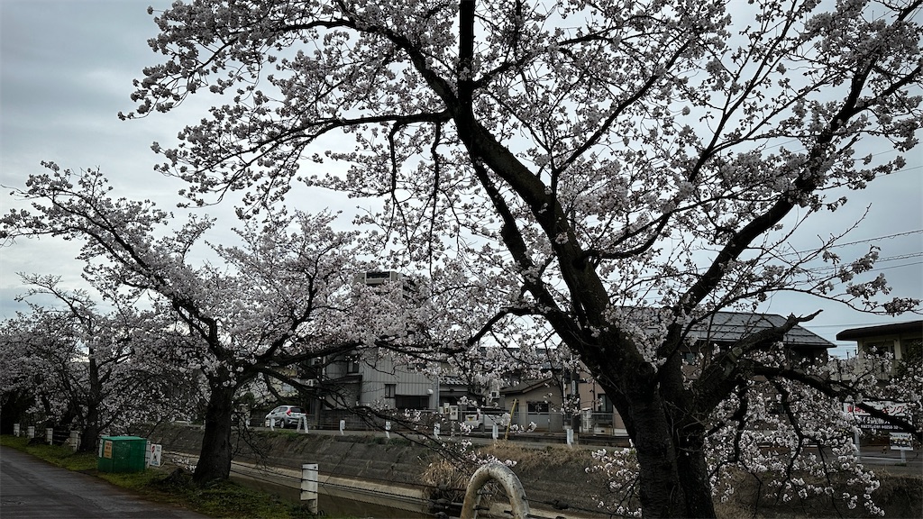 f:id:academij:20260405124143j:image