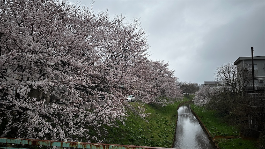 f:id:academij:20260406022421j:image