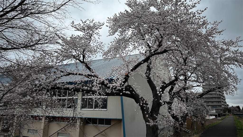 f:id:academij:20260406022443j:image