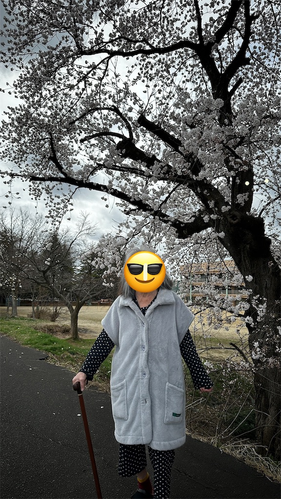 f:id:academij:20260406022643j:image