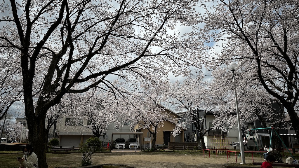 f:id:academij:20260406022658j:image