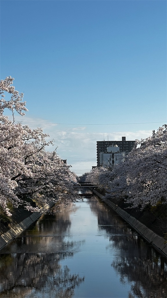 f:id:academij:20260407005136j:image