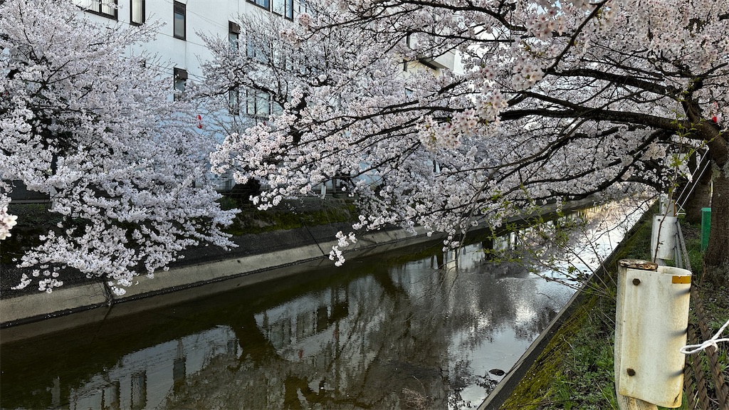 f:id:academij:20260409184247j:image f:id:academij:20260409184247j:image