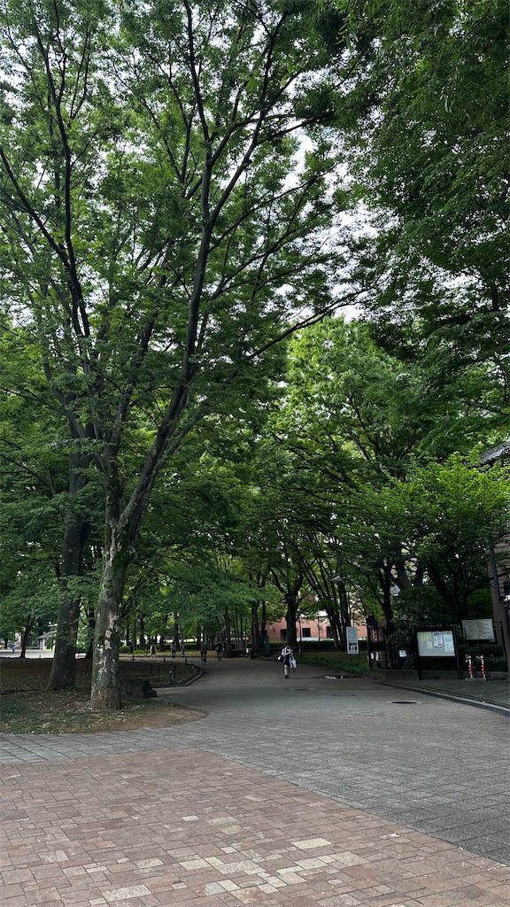 f:id:academij:20260515101007j:image f:id:academij:20260515101007j:image