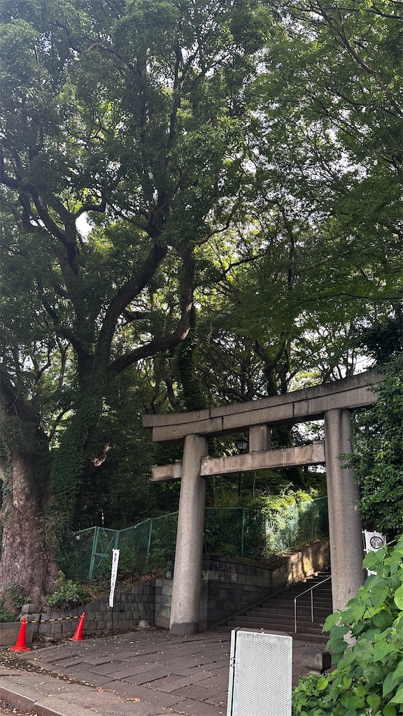 f:id:academij:20260624082419j:image