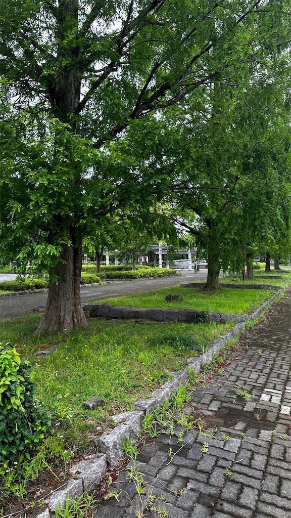 f:id:academij:20260713093939j:image