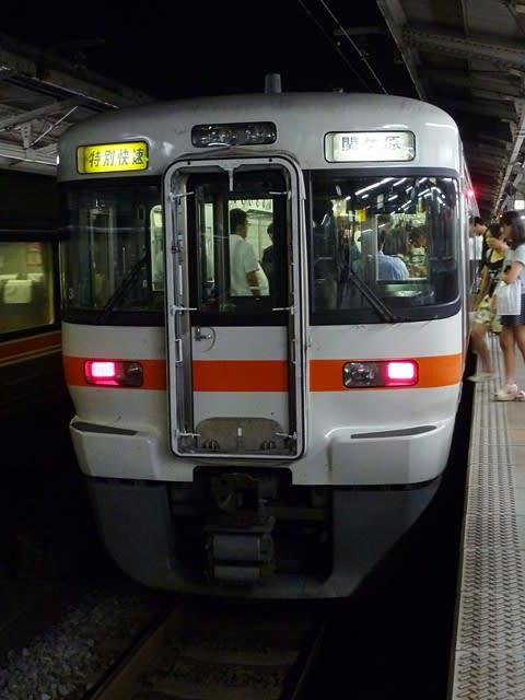 313系特別快速