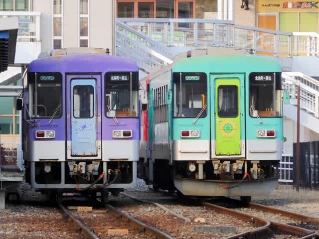 フラワ2000-2