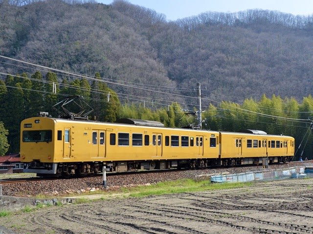 115系