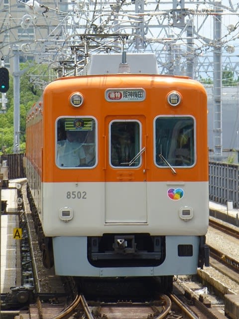 阪神8502号直通特急