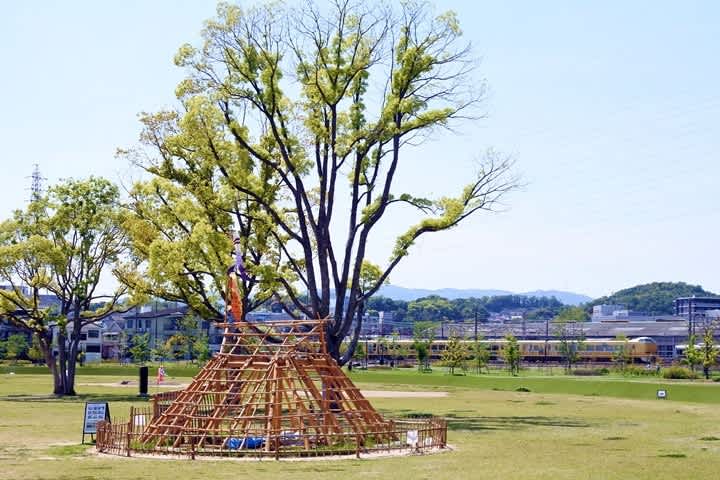 289系金屏風
