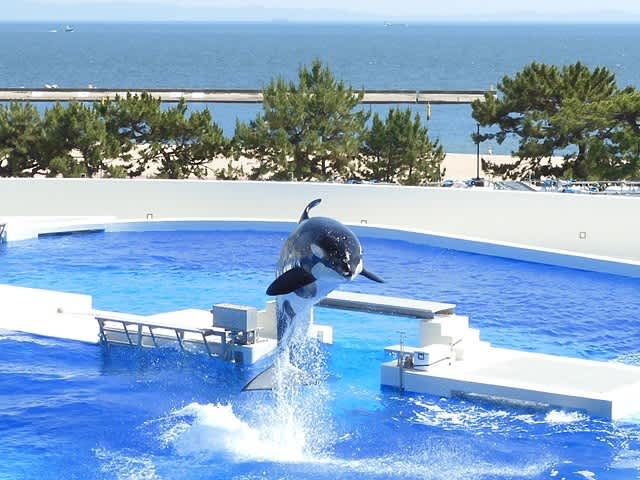 神戸須磨シーワールド